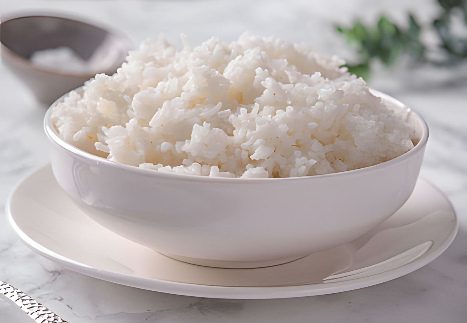 Steamed Rice Portion